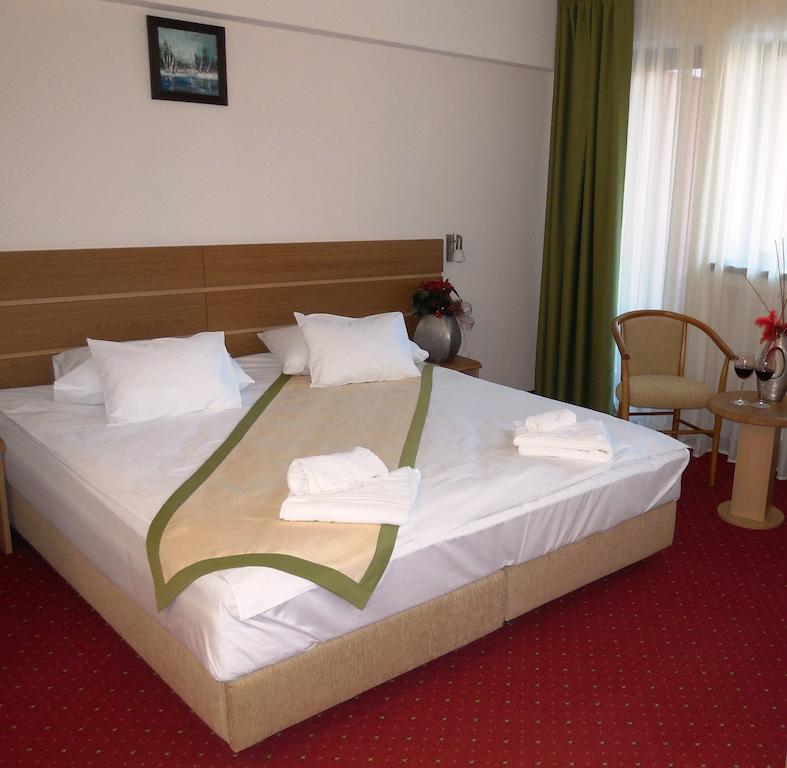 Hotel Carpati Predeal Pokój zdjęcie